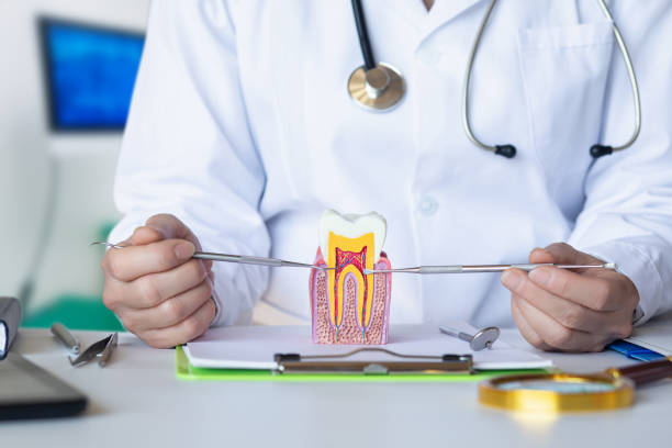 Best Pediatric Emergency Dentist in Marietta, OK